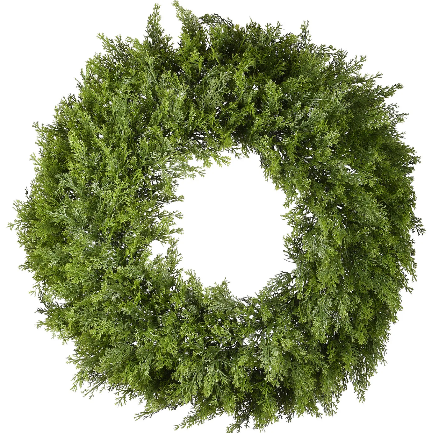 24 in. Arborvitae Wreath